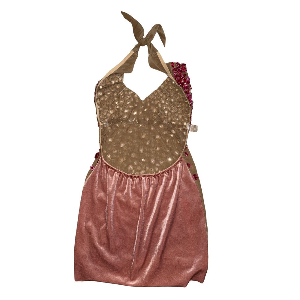 Rosedress HALTER NECK BACKLESS VELVET SHEER MESH RHINESTONE MINI DRESS- Rose NWT - Picture 4 of 9